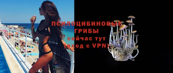 твердый Абинск