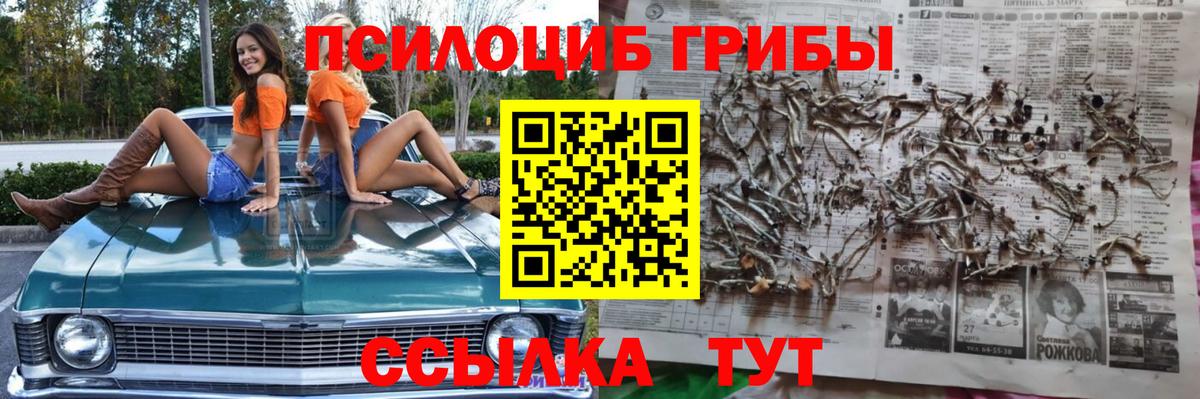 Псилоцибиновые грибы мухоморы Кандалакша