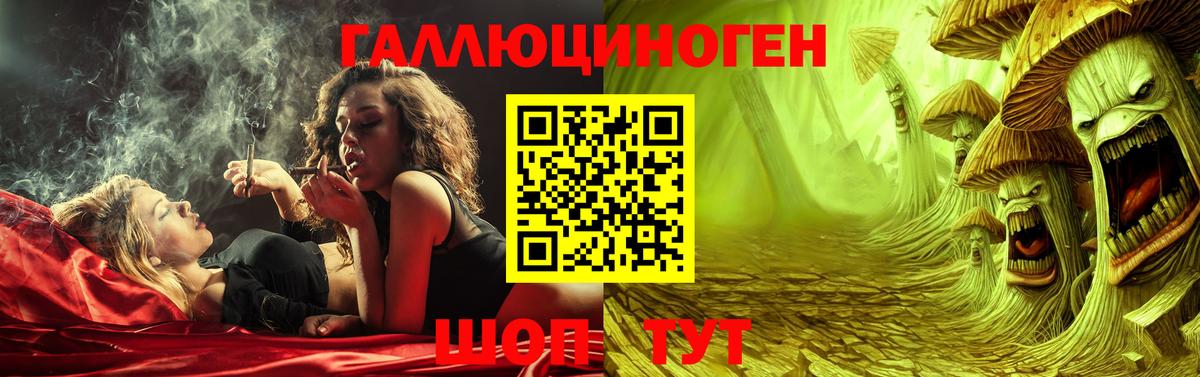 Псилоцибиновые грибы MAGIC MUSHROOMS  Вход с VPN  Кандалакша 