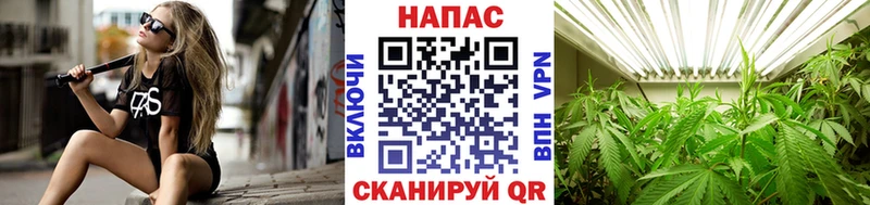 даркнет наркотические препараты  Кандалакша  МАРИХУАНА OG Kush  ОМГ ОМГ ССЫЛКА 